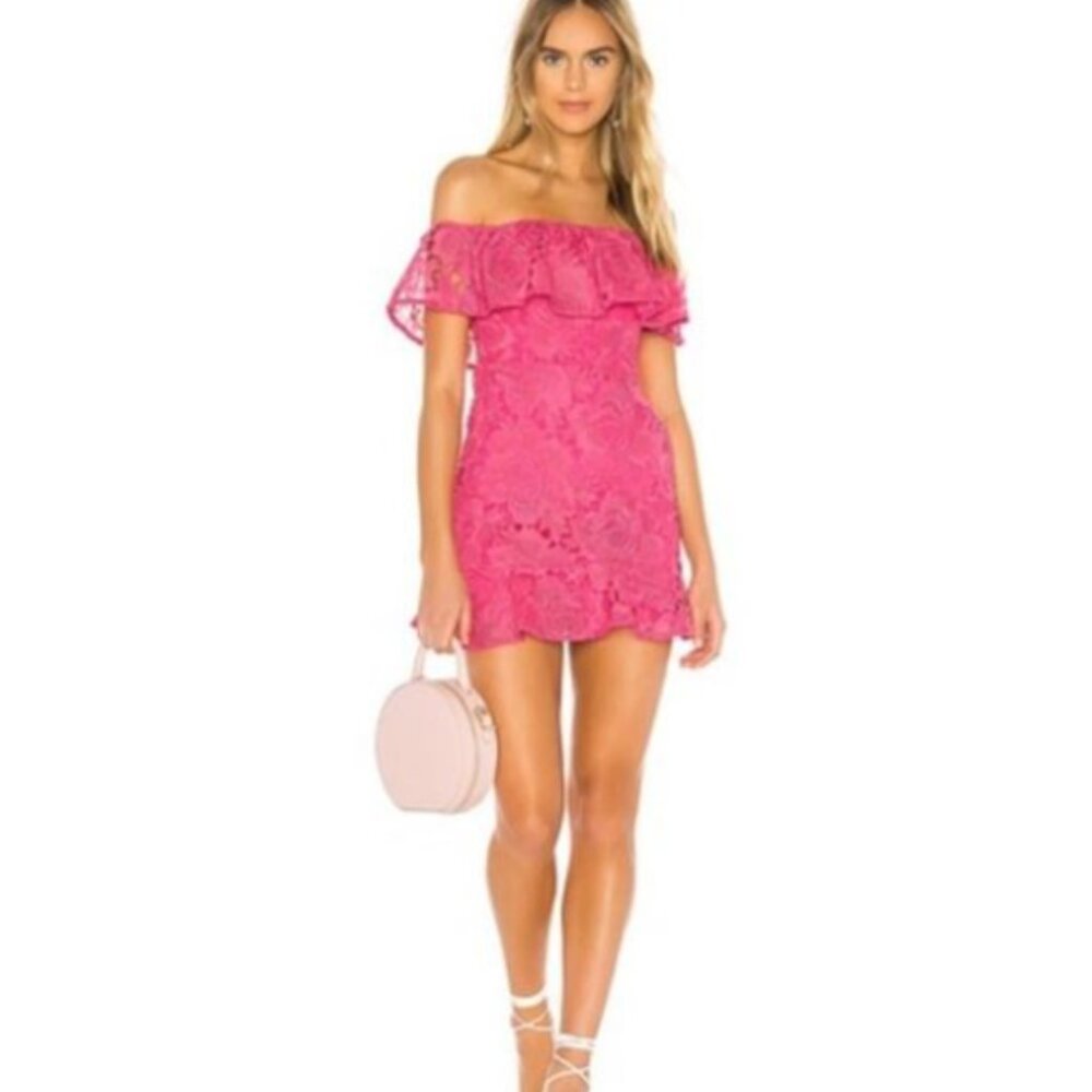Reid Mini Dress from lovers and friends 💕